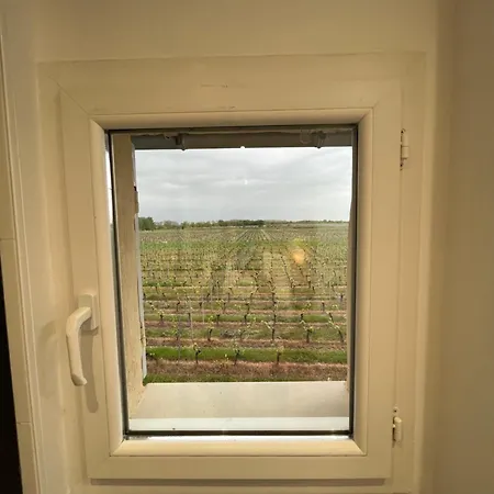 בית נופש Du Ferrand Au Coeur Des Vignes