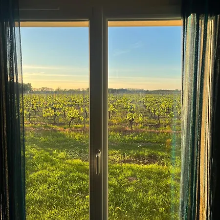 Du Ferrand Au Coeur Des Vignes Holiday home Montagne (Gironde)
