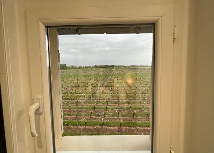 Casa de Férias Du Ferrand Au Coeur Des Vignes